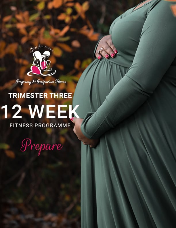Trimester-3-Prepare. Fitness Program