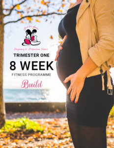 Trimester 1- Build